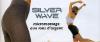 Silver Wave Long anti-cellulite panty