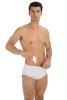 Inguinal Hernia Reduction Briefs (with pads) Bassa