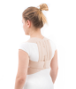 Back posture brace with soft stays
