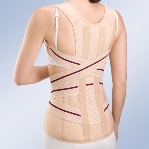 Dorso-lumbar back support