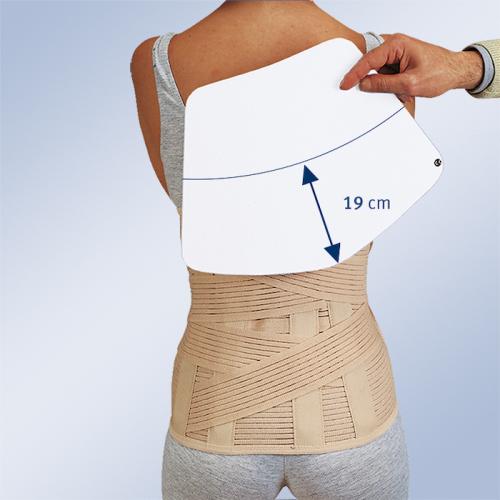 Semi-rigid sacro-lumbar belt in multi-band material with removable thermoformable backrest