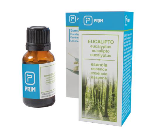 Bottle of eucalyptus essence