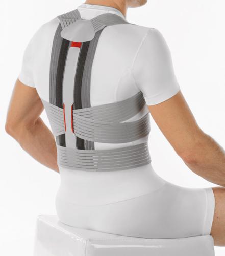 Elastic back support for back posture