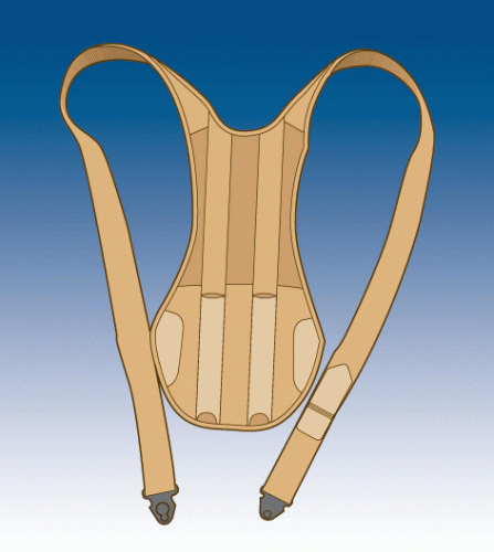 Module adaptable dorsolombaire pour ceinture lombaire Evotec-dorso